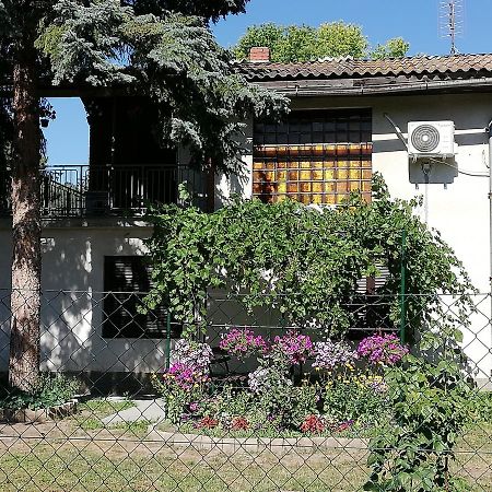 Hotel Palicka Ruza - Palic Rose Zewnętrze zdjęcie